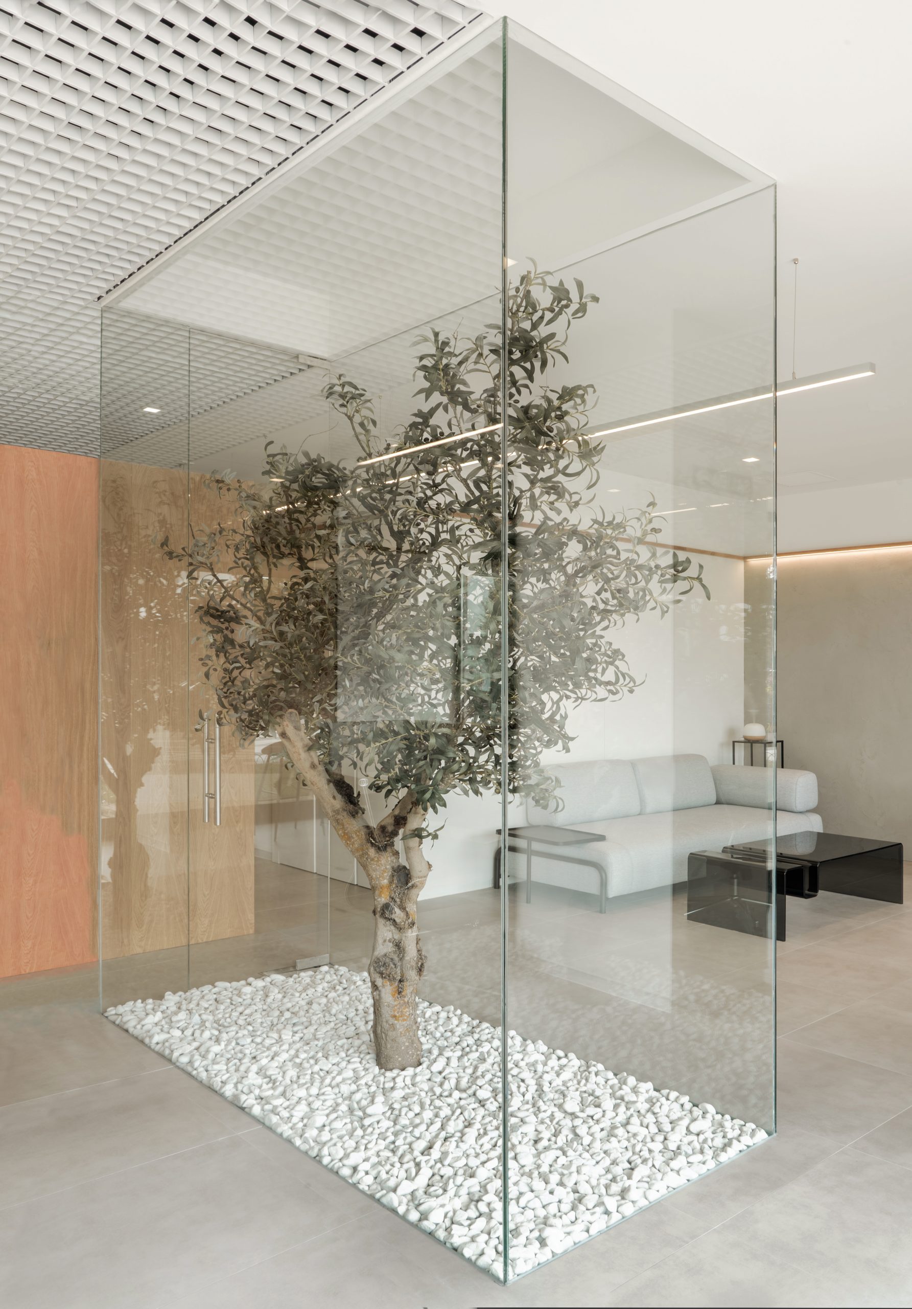 clinica-dental-sevillano-murillo-hernandez-arquitectura
