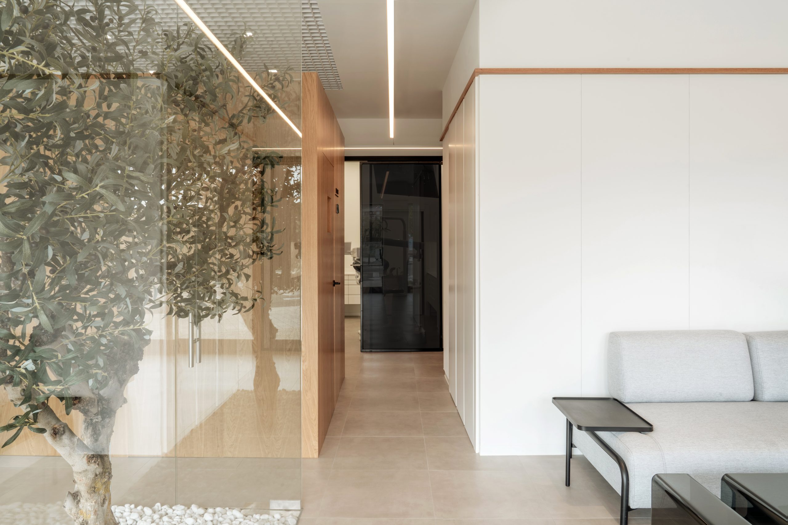 clinica-dental-sevillano-murillo-hernandez-arquitectura