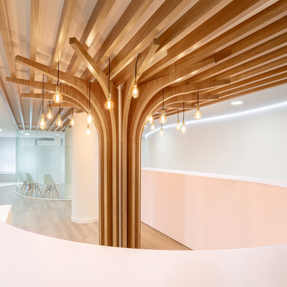 clinica-dental-don-sancho-murillo-hernandez-arquitectura